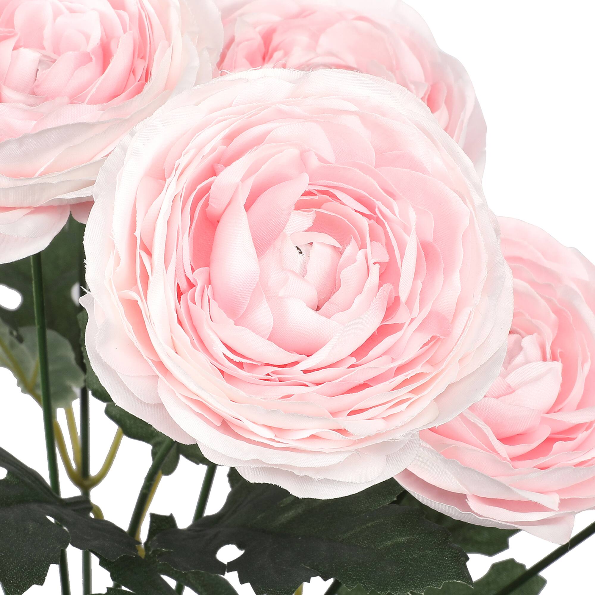 18" Ranunculus Bush by Ashland